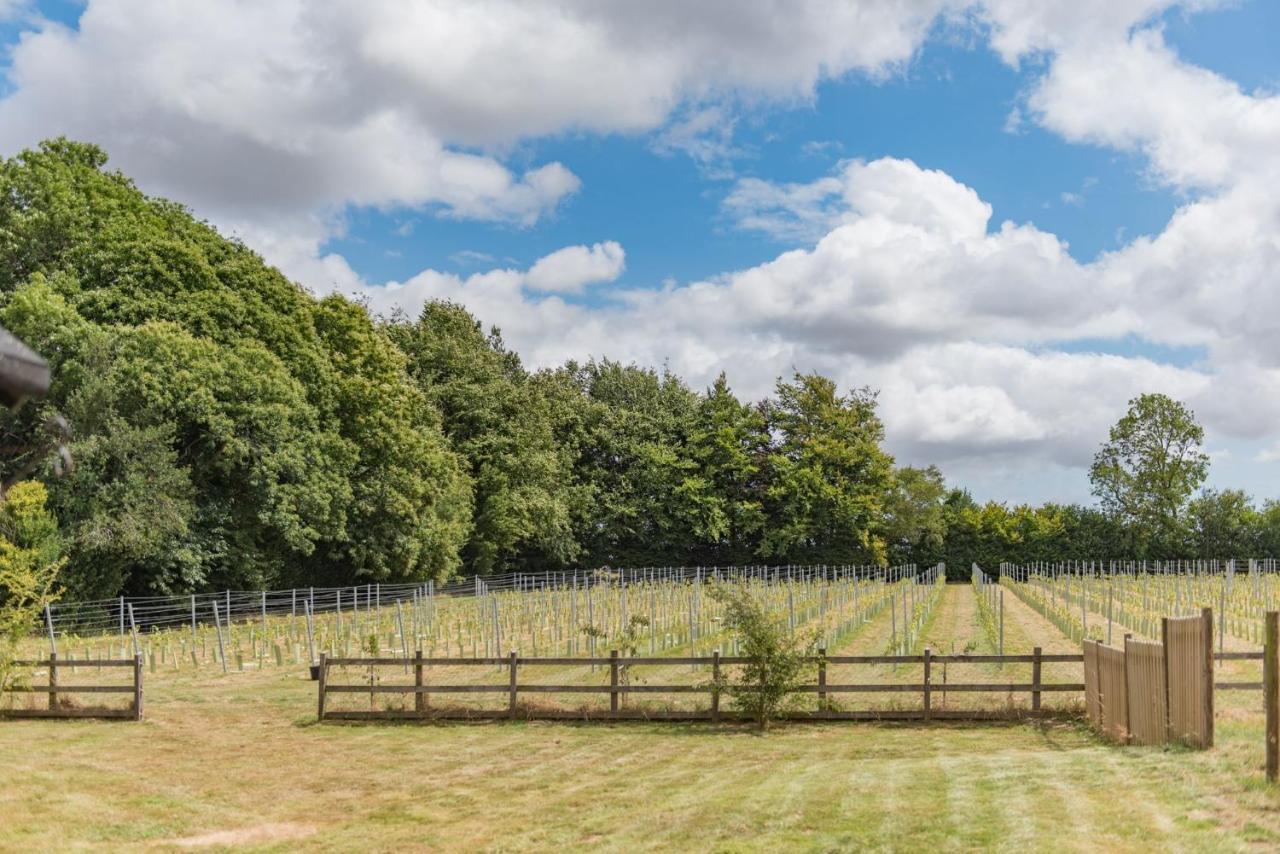 Villa Bacchus Canterbury Exterior foto